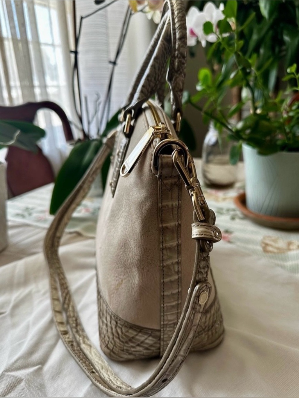 TRADE FOR ROBIN $398 BRAHMIN - Picture 4 of 9